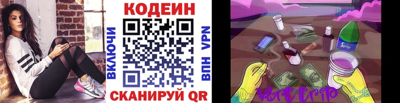 сайты даркнета как зайти  купить наркоту  Анжеро-Судженск  Кодеиновый сироп Lean Purple Drank 