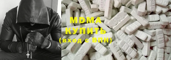 индика Алексин