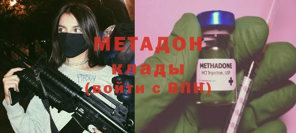 индика Алексин