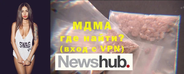 индика Алексин