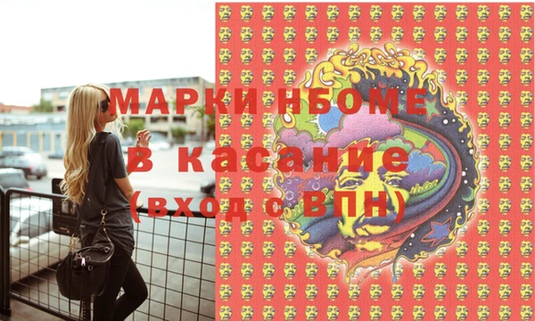 индика Алексин