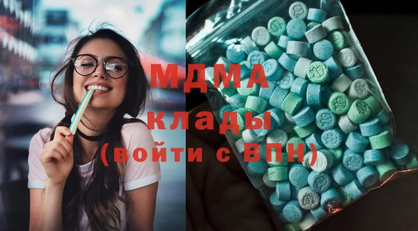 индика Алексин