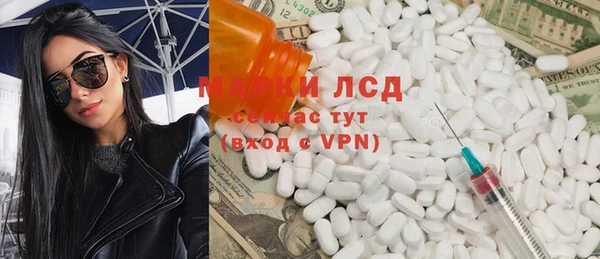 индика Алексин